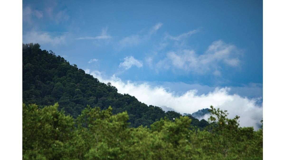 Llega la VII Feria Internacional del Medio Ambiente FIMA 2021