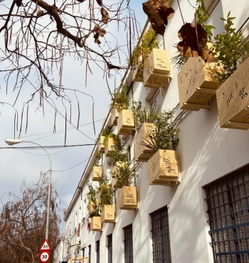 "Jardiner en el aire" proyecto terminado