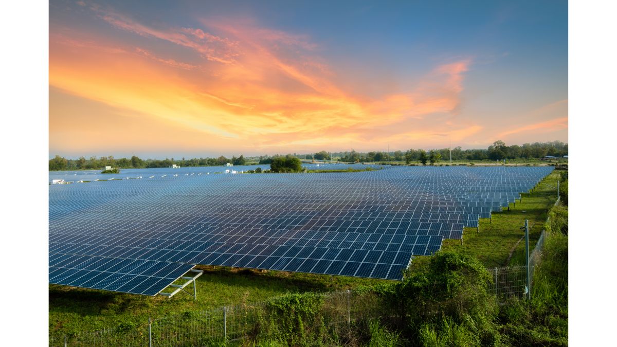 paneles solares