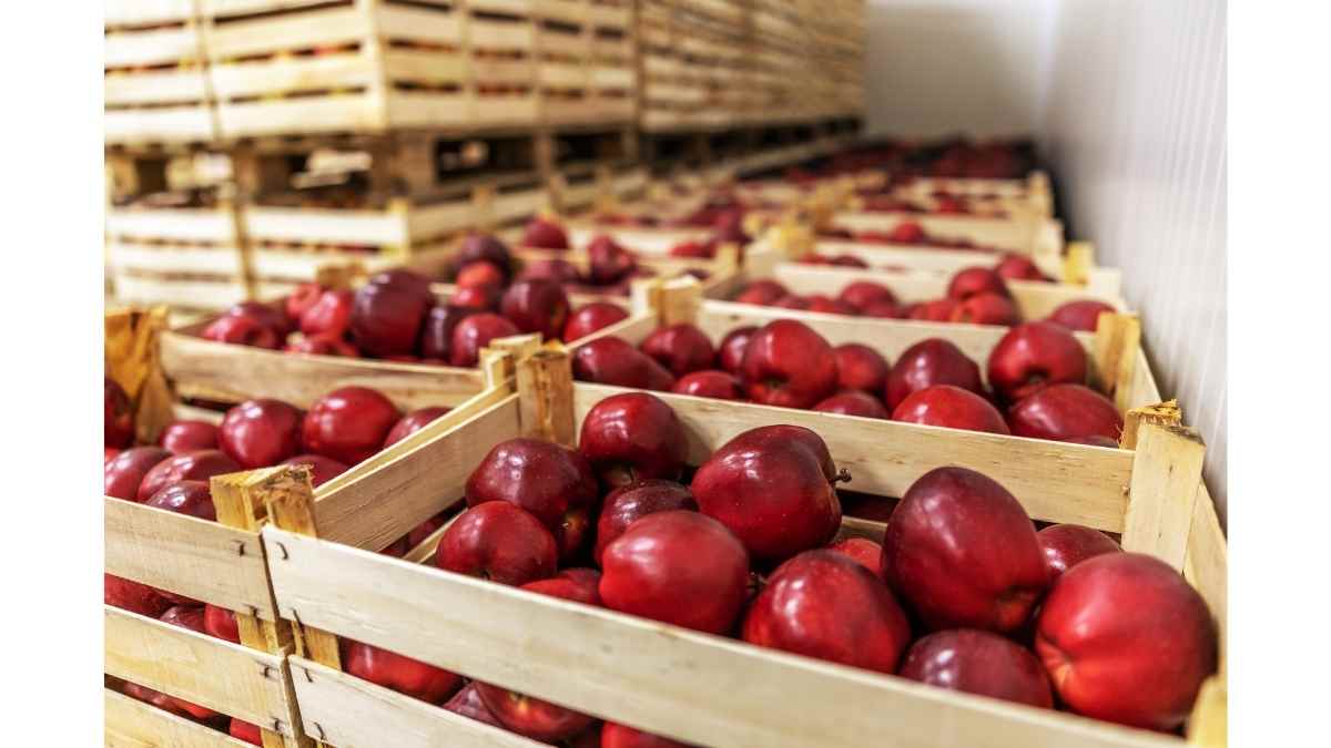 Enfriamiento alimentos