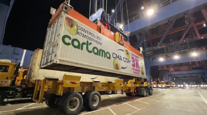 Contenedor del Grupo Cartama