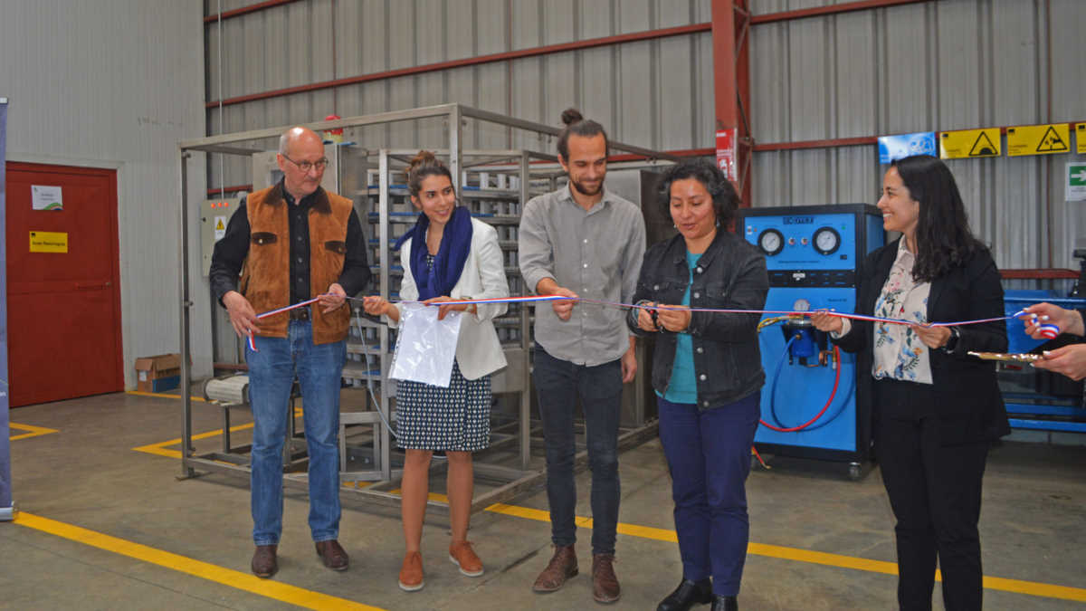 centro de reciclaje y regeneración de refrigerantes