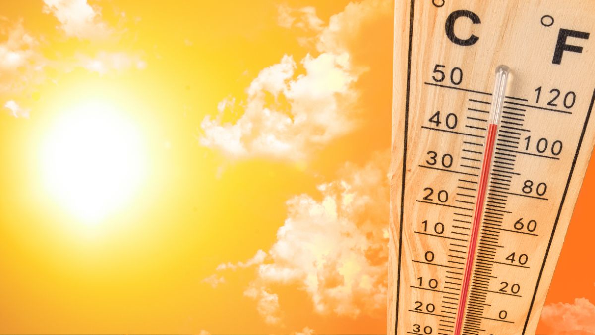 IIAR lanza una herramienta para comparar refrigerantes