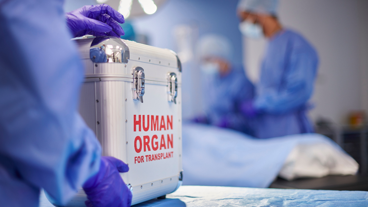 High-precision logistics: the cold chain that saves lives in the Mexican health system
