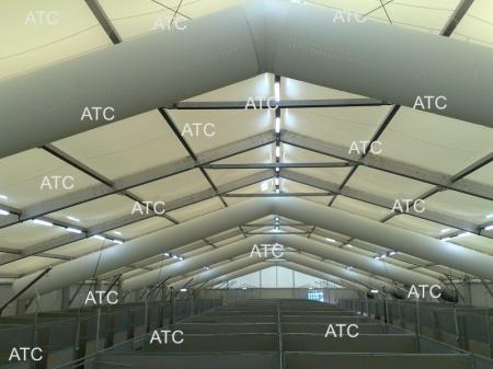 20110301132018_Estructuras_Especiales.jpg.jpeg